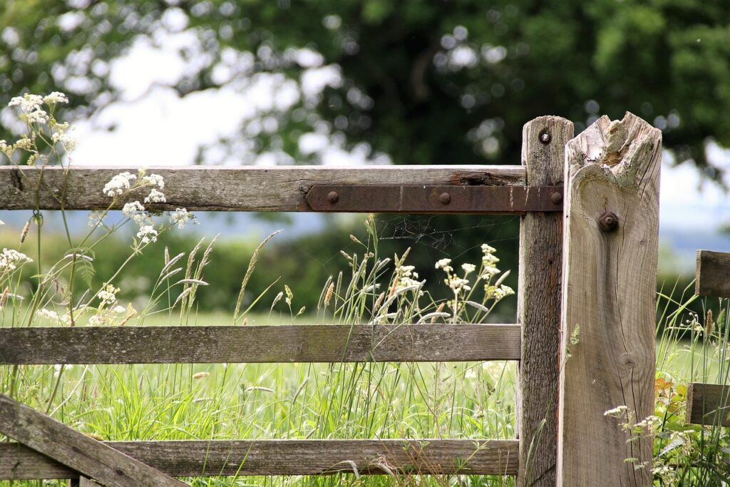 farm gate, countryside, landscape-1591383.jpg