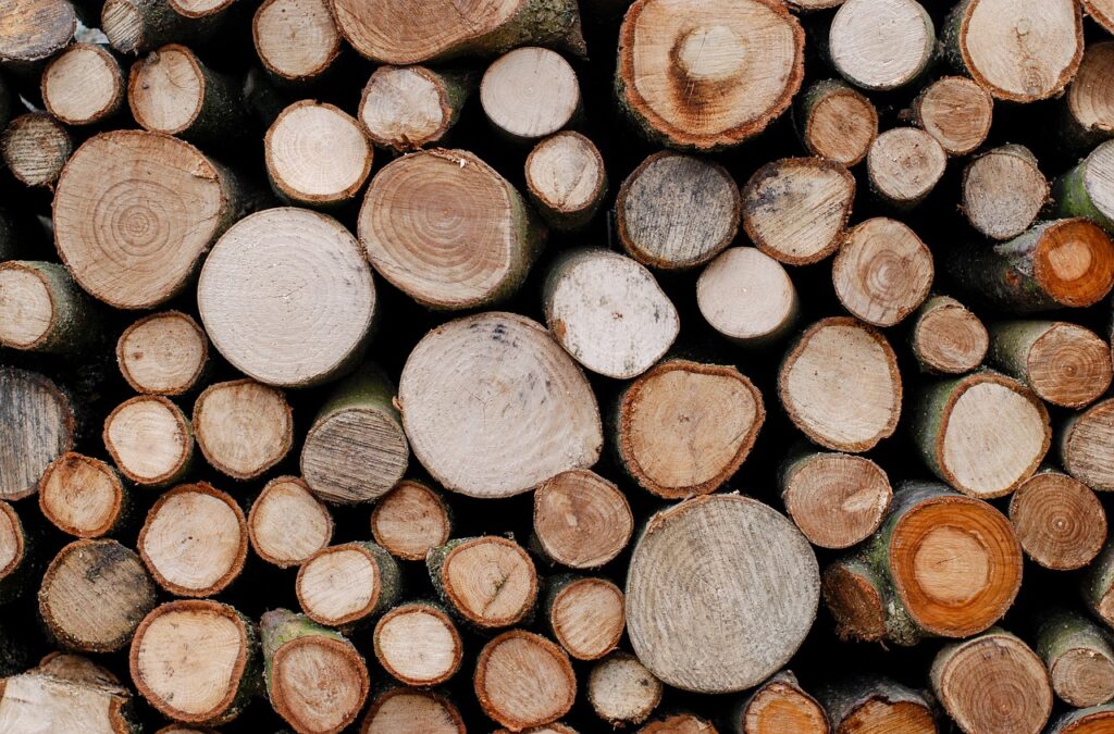 trees, lumber, timber-554609.jpg
