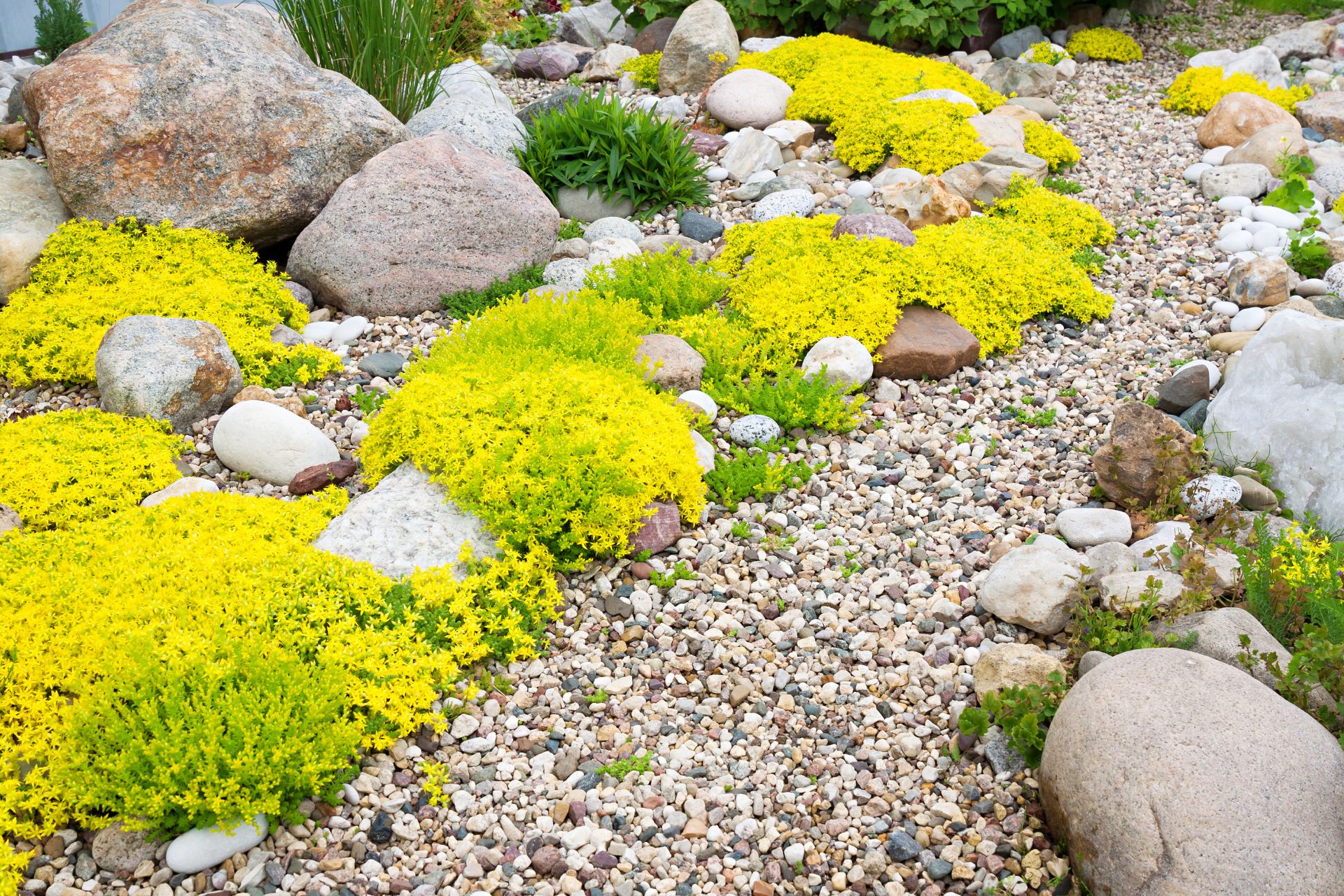 Ultimate Guide To Cost Of Large Landscaping Rocks NZ
