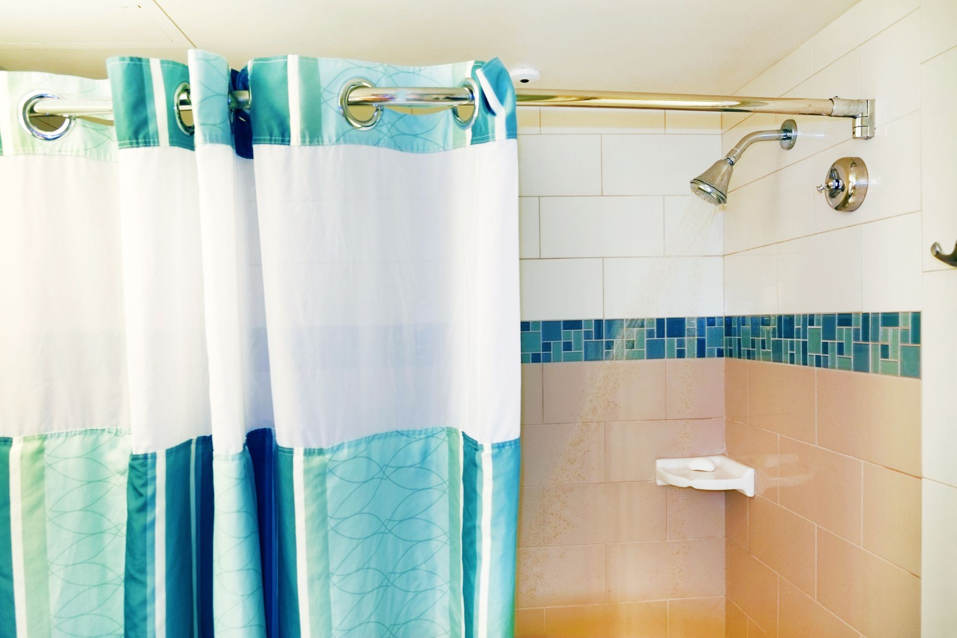 Ultimate Guide To How To Clean Shower Curtain Mold
