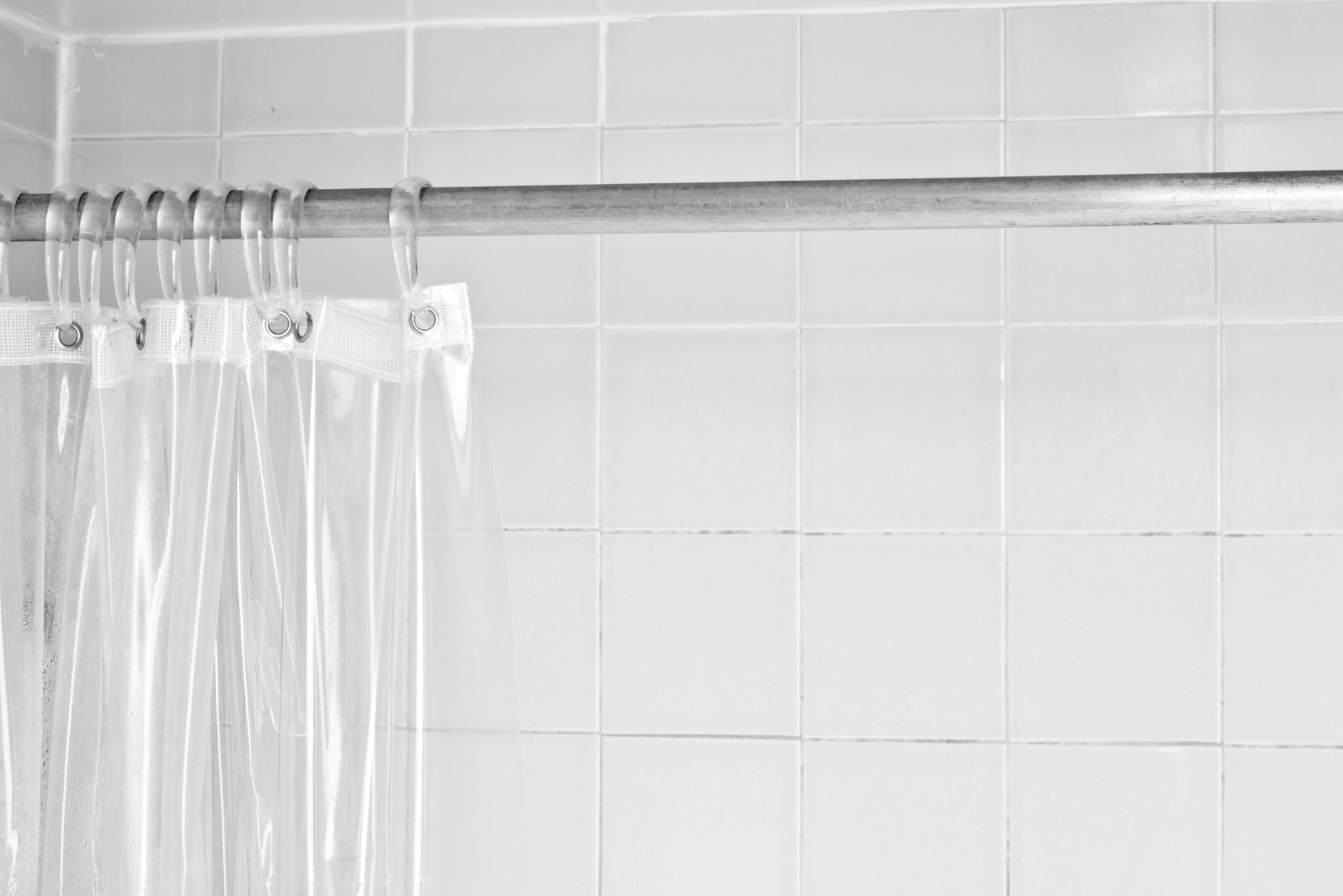 Ultimate Guide To How To Clean Shower Curtain Mold