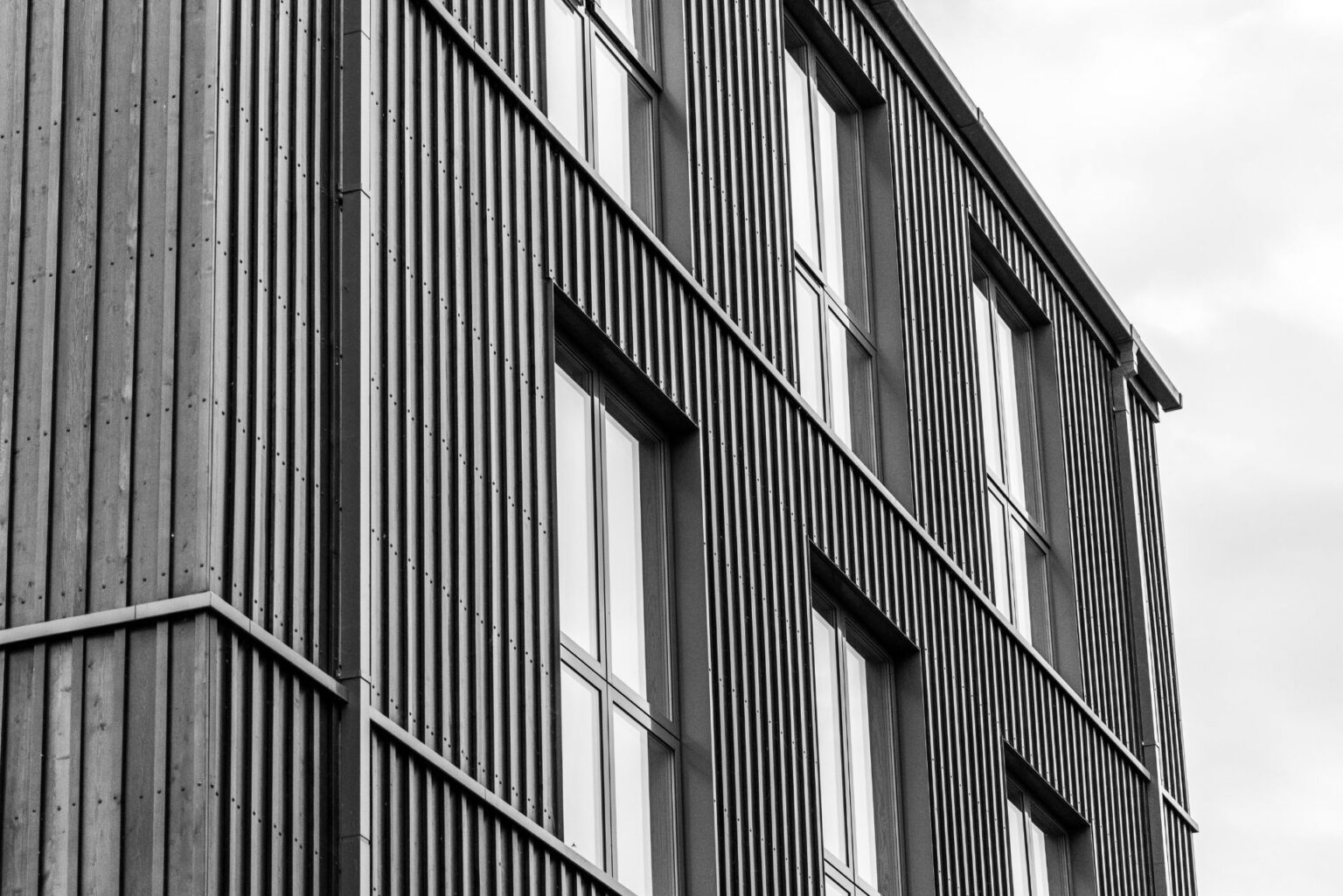 Ultimate Guide To Monolithic Cladding NZ