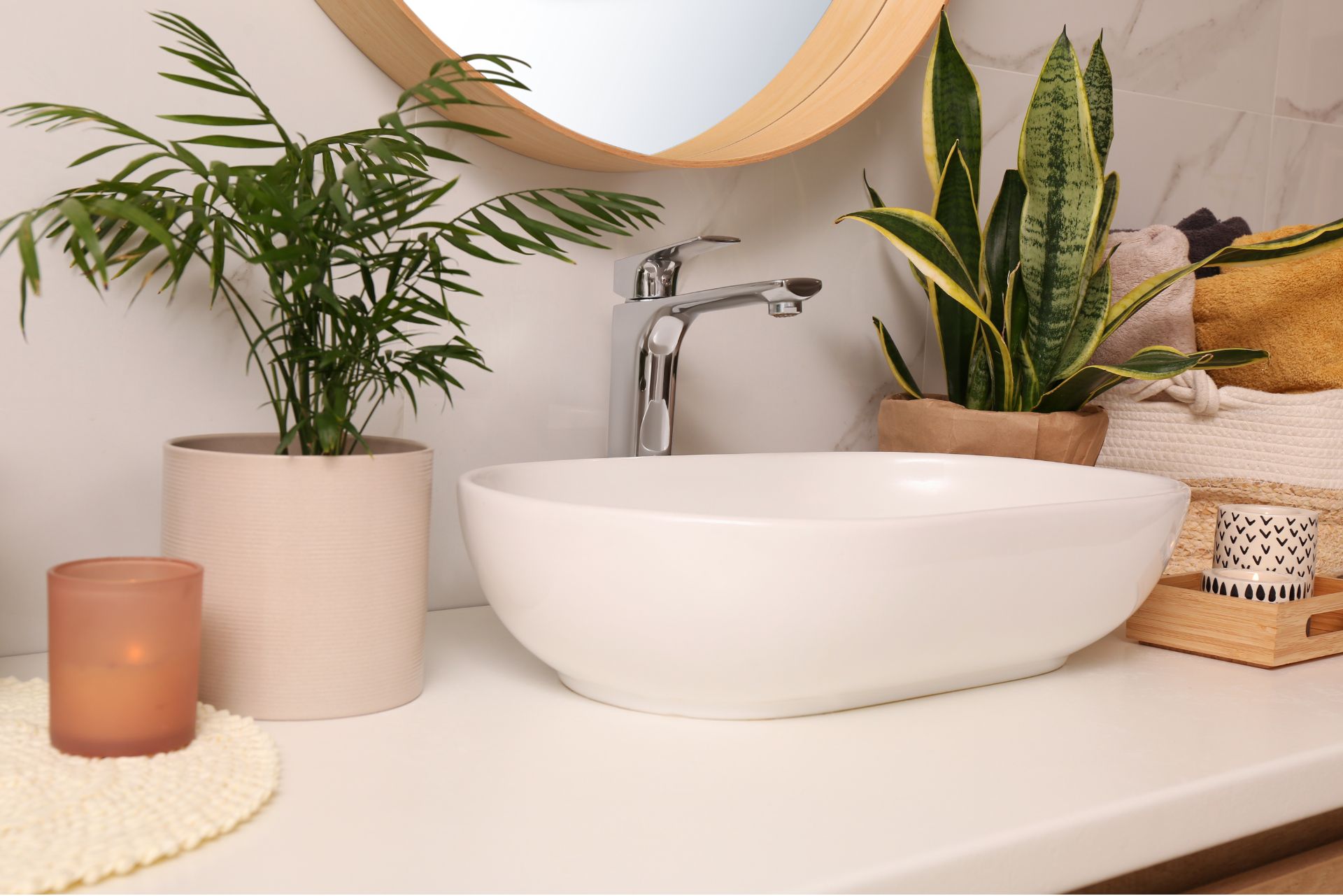 plants for bathroom