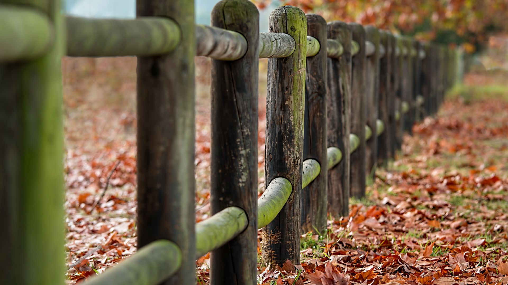 Ultimate Guide To Cost Of Post And Rail Fencing Per Metre NZ