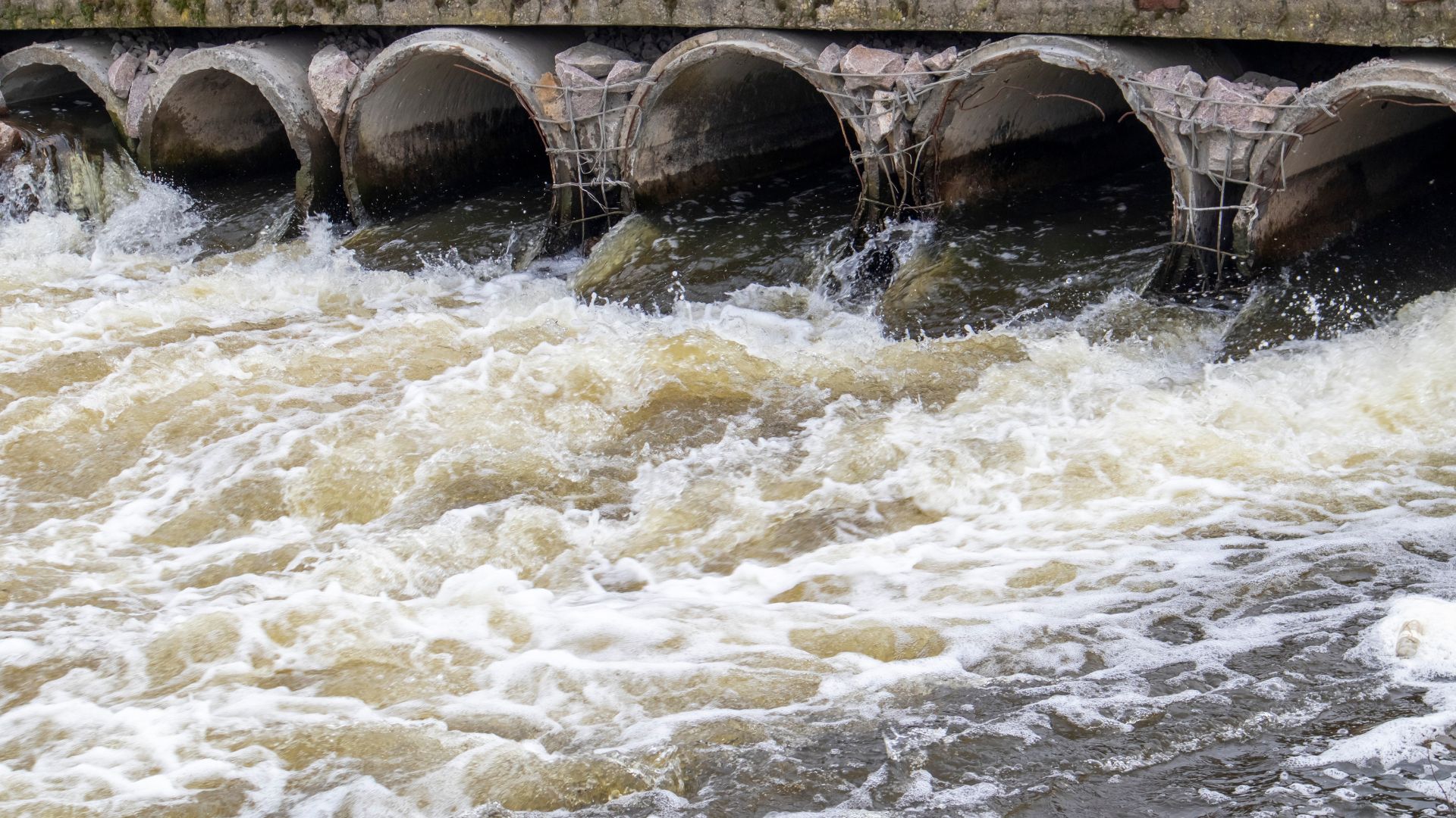 drainlaying sewage