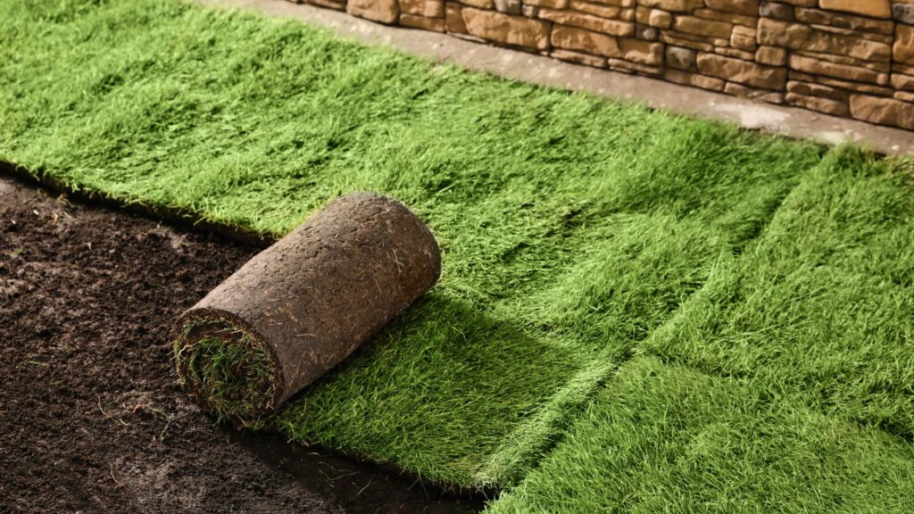 Pet-Friendly Artificial Grass Installation