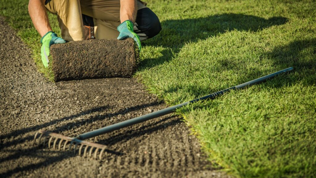 Sports Turf Installation