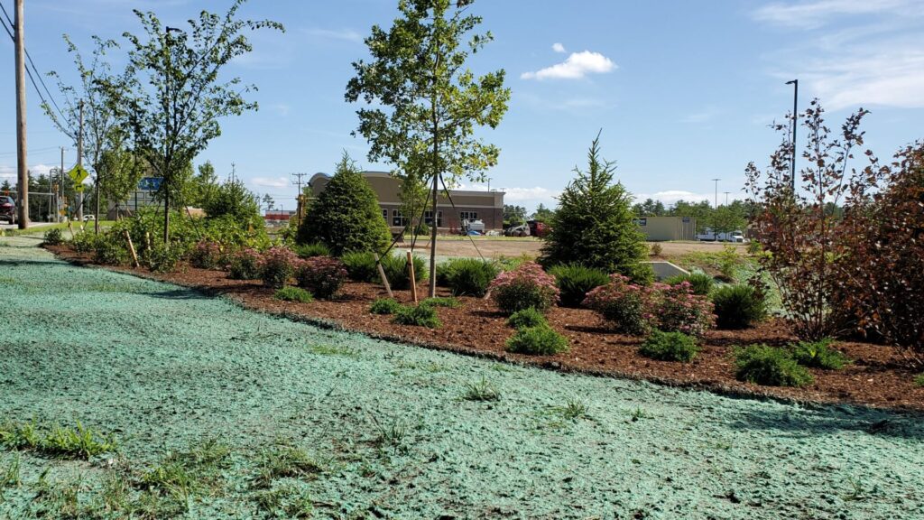 Commercial Property Hydroseeding