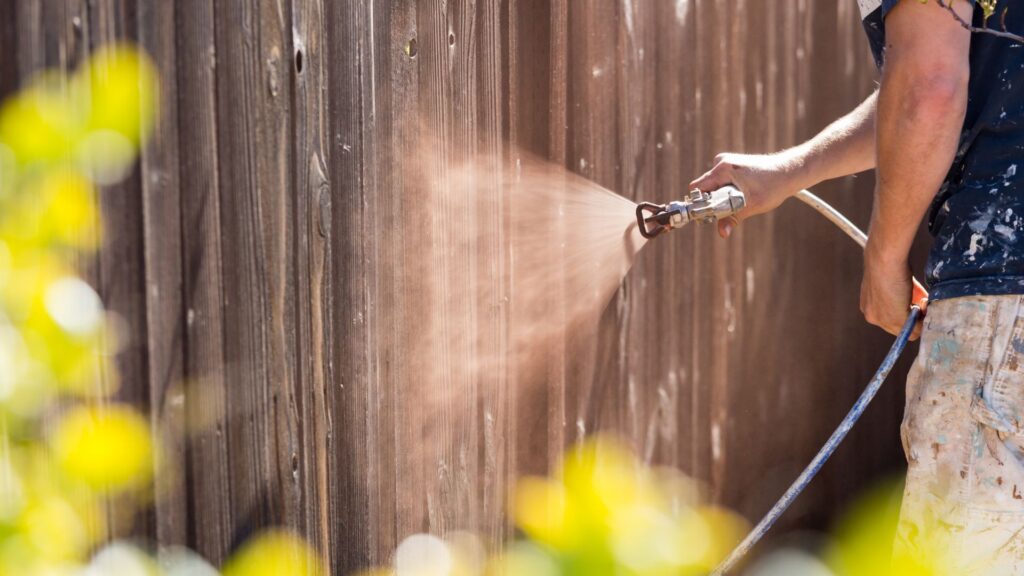 Deck and Fence Painting