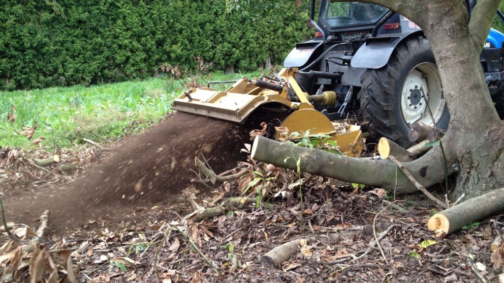 Gorse and Scrub Mulching