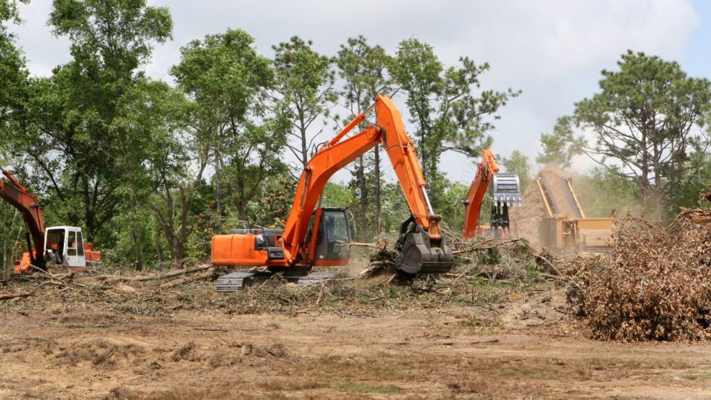 Scrub and Vegetation Clearing