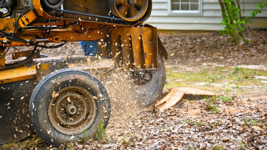 Stump Grinding and Removal