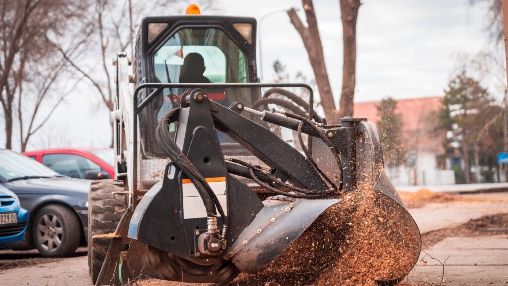 Stump Grinding and Removal