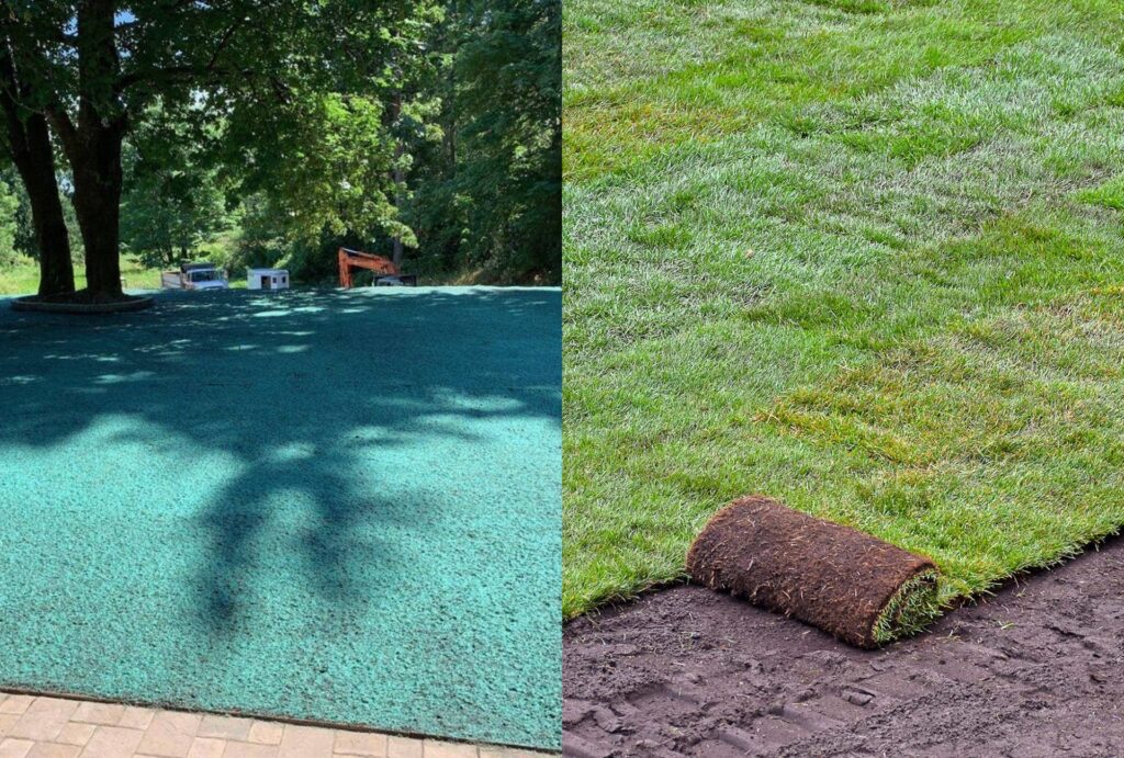 Hydroseeding vs. ready lawn nz