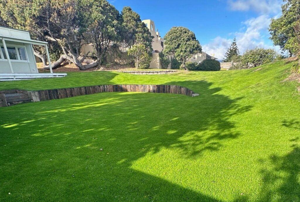 what is hydroseeding grass nz