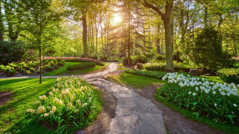 Best Flowers For Garden All Year Round In NZ: Easy Picks For Every Season