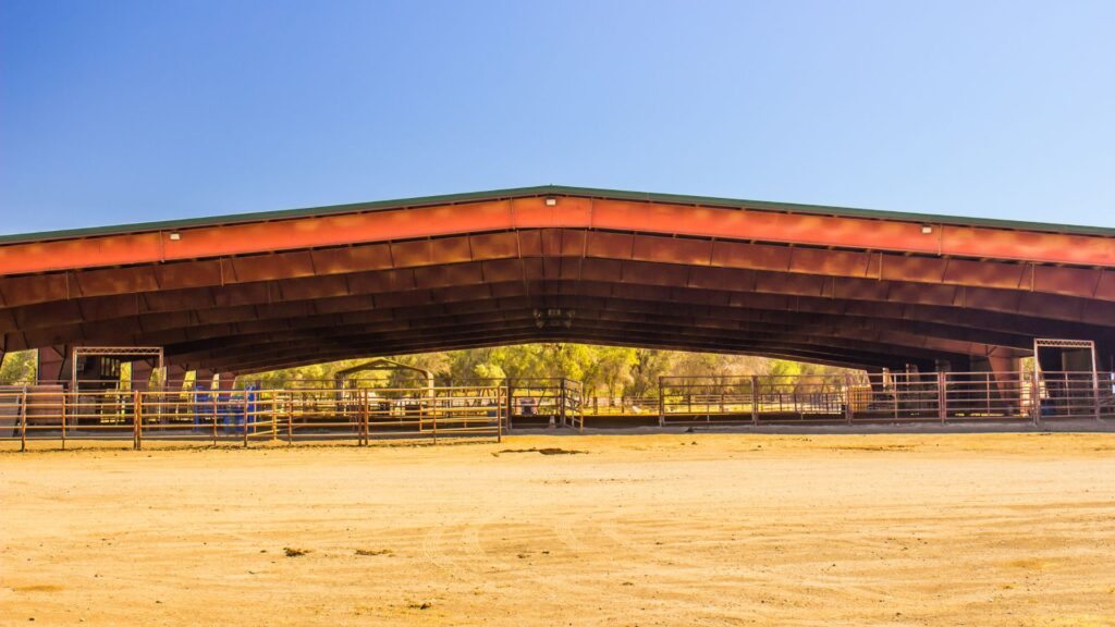 horse arena building nz