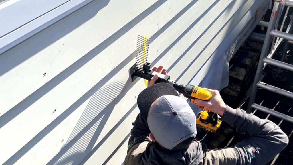 replacing weatherboards nz (4)