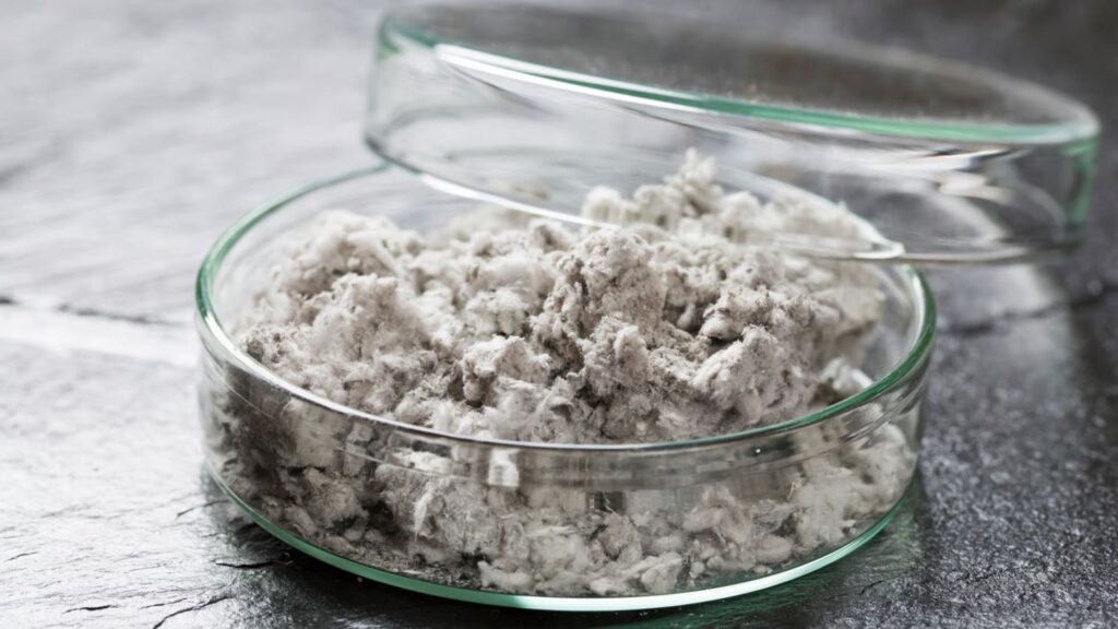 asbestos testing cost nz