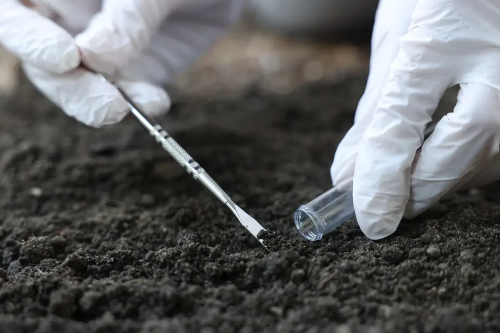 Gloved hands collecting a soil sample into a small container for testing, part of pre-construction analysis by Foundation Contractors New Zealand.