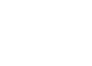 N M Sullivan Builders - logo - white