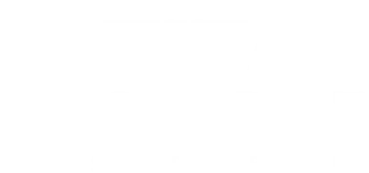 Titan Strip NZ Logo - white