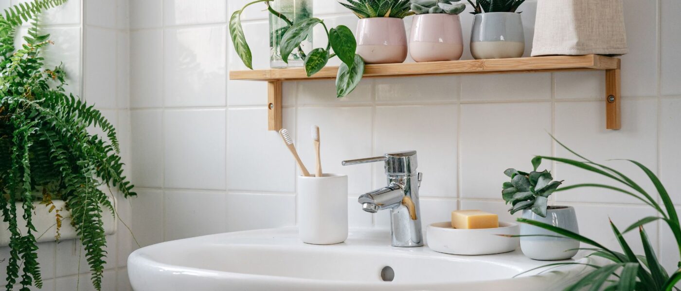 plants-for-bathroom-11