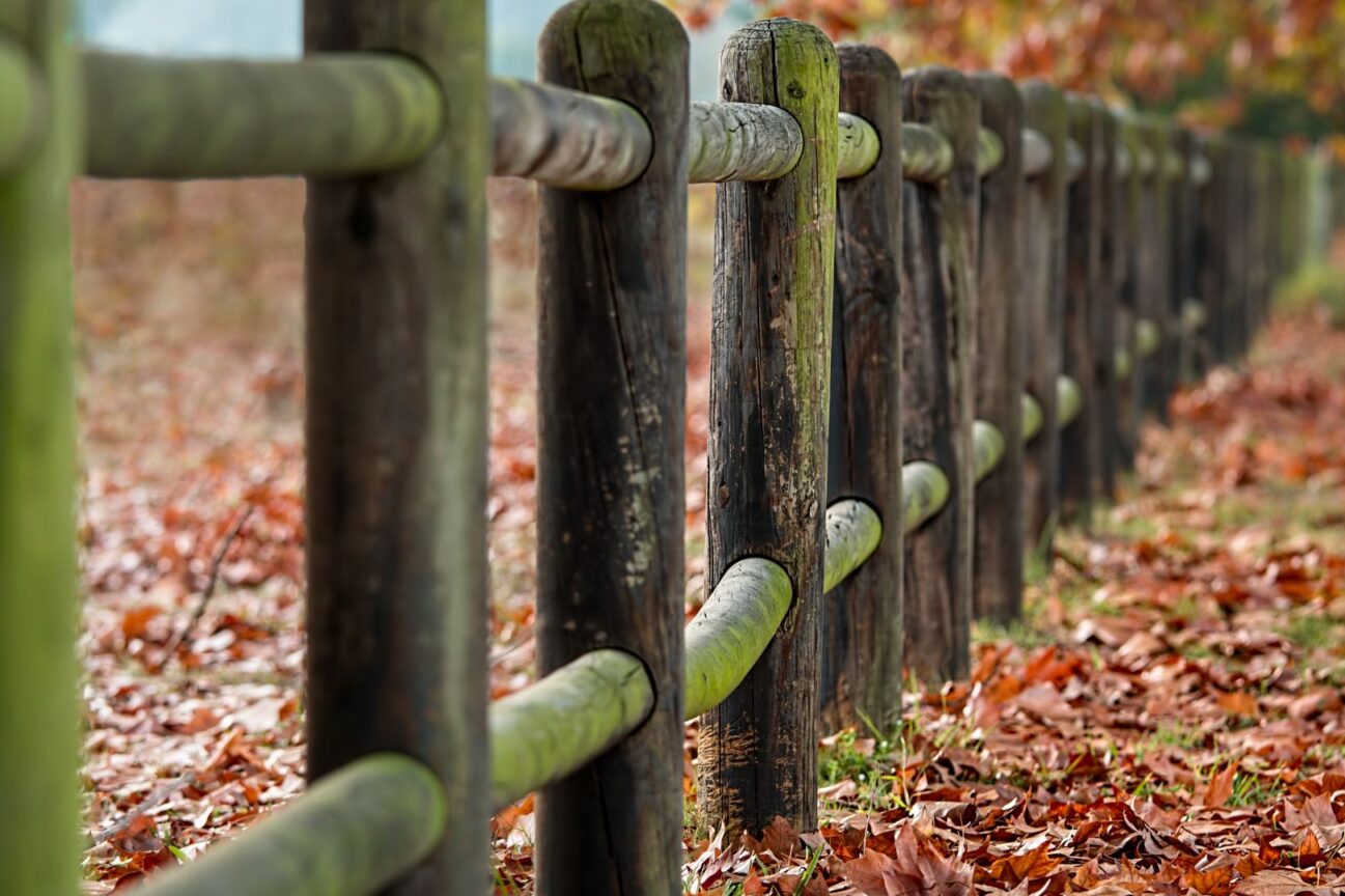post-and-rail-fencing-per-metre-nz-5